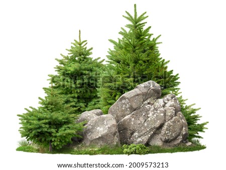 Cutout rock surrounded by fir trees. Garden design isolated on white background. Decorative shrub for landscaping. High quality clipping mask for professionnal composition Stockfoto © 