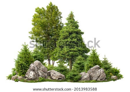 Cutout rock surrounded by fir trees. Garden design isolated on white background. Decorative shrub for landscaping. High quality clipping mask for professionnal composition. Stones in the forest. Stockfoto © 