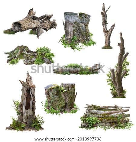 Similar – Image, Stock Photo Dry tree in high grass under starry sky