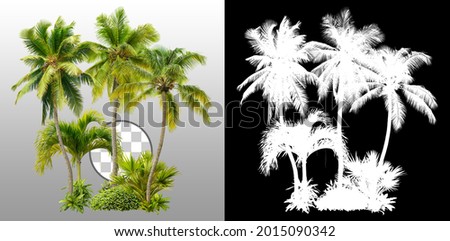 Similar – Foto Bild Kokospalmenhain exotisch