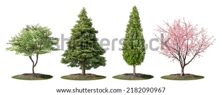 Cutout shrubs for garden design or landscaping. Group of trees and pine isolated on white background. Photorealisc 3D rendering for professional composition Stockfoto © 
