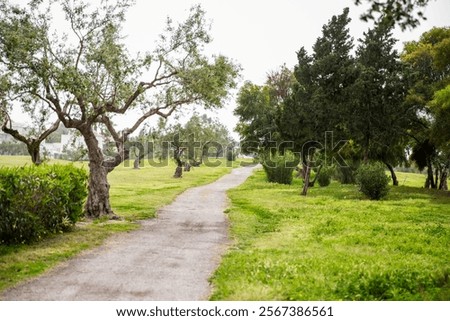 Similar – Image, Stock Photo small path that goes into the forest of tarragona