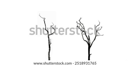 Similar – Image, Stock Photo Two dead trees by a muddy lake shore
