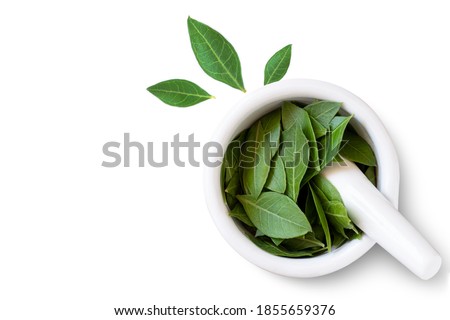 Herbal Henna leaves in white mortar with pestle on white background. Natural product for organic hair colouring. Top view. Flat lay. Copy space. Foto stock © 