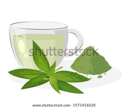 Glass cup of green tea isolated on white background. Vector illustration.