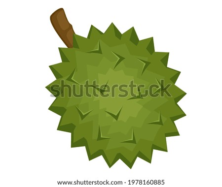 Durian fruit isolated on white background. Icon vector illustration.