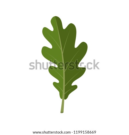 Oak Leaves Clipart 