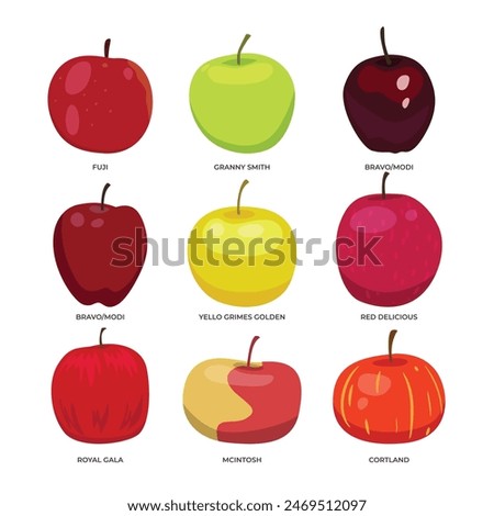 Set of different types of apple set collection, Apple types, apple varieties with fuji, granny smith, bravo, modi, golden, red, royal gala, mcintosh, cortland, isolated on white background.