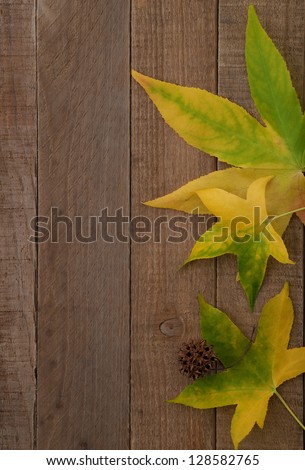 Early Fall Leaves on Rustic Wooden Background with Copy Space.  Can be used either vertical or horizontal.