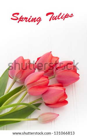 A Pretty, Lovely  Bouquet Arrangement of Red Tulips laying on White Bead Board with Background Space above for Copy and your Wording for a Card or Invitation