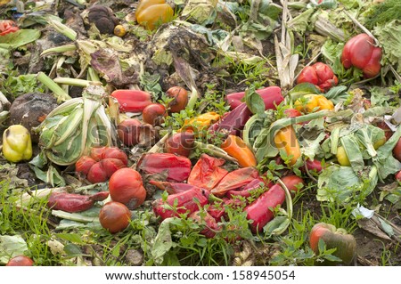 Close up of Vegetable Compost Pile in a Farm Field to Replenish the Ground with Nutrients