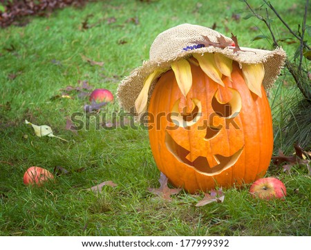 Cute Country Pumpkin ready for Halloween on grass in yard.  Room or space for text, copy, words.  Horizontal