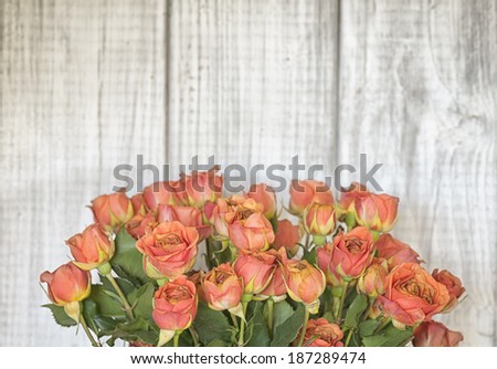 Old Peachy Pink Roses with slightly brown centers, perfect for your vintage treatment.  Rustic White Wood Board Background with room or space for copy, text.  Horizontal