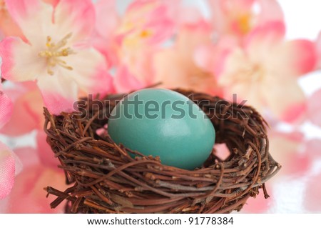 A Real Robins Egg Nestled in a Twig Nest on a Reflective Surface and Surrounded by Pink Flowers
