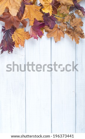 Pile of Fall Leaves on side of Rustic White Painted Wood Board background with room or space for copy, text.    Vertical vintage cross process