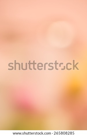 Soft and Beautiful Spring Blur Abstract Background with two flowers in Peachy Pink Tones with green and yellow with room or space for text, copy, your words.  Vertical that works as Horizontal.