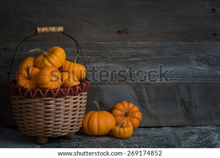 Colorful Dark and Moody Basket Full of Thanksgiving or Halloween, Fall Mini Pumpkins on Stone Floor against Rustic Wood Board Wall Background with room or space for copy, text, words.  Horizontal