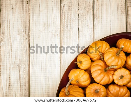 Many Thanksgiving, Colorful Fall Mini Pumpkins in a Wood Bowl in corner on Rustic White or brown Painted Board Background with room or space for copy, text, your words  Above view, sepia horizontal