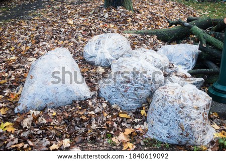 Plastic bag filled with fallen leaves Photo stock © 