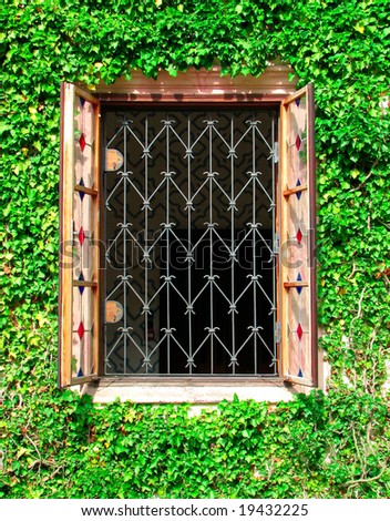 window with bar and ivy