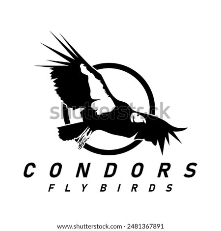 condor bird logo design vector