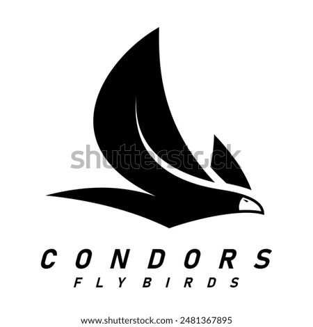 condor bird logo design vector