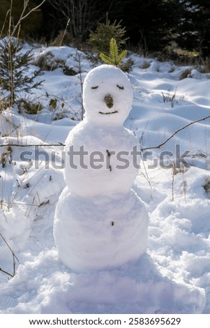 Similar – Foto Bild Schneemann steht Kopf.