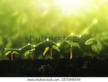 Concept of business growth, profit, development and success.	Seedling are growing from the rich soil. 