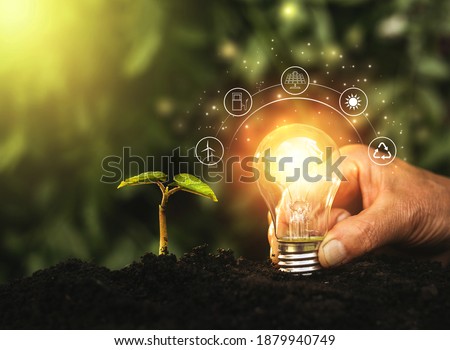 Similar – Image, Stock Photo Light bulbs against an orange background