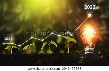 Seedlings are growing in soil with growth compared to year 2021-2022 and light bulb for innovations and ideas for the new year. Development to success in year 2022. 