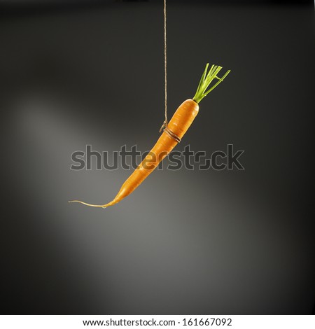Carrot hanging on string on black background Foto d'archivio © 