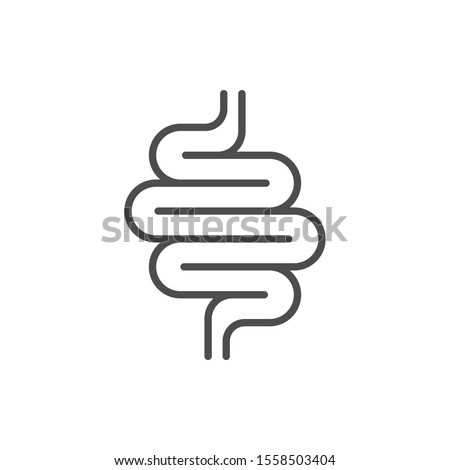 Intestines line icon or digestion system symbol