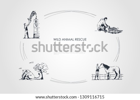 Wild animals rescue - people taking care of giraffe, horse, kangaroo, turtle vector concept set. Hand drawn sketch isolated illustration