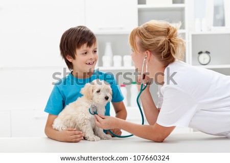 Happy boy and his fluffy dog at the veterinary checkup - focus on pet