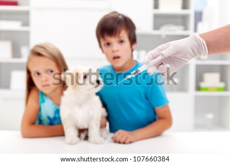 Vaccination for pets - worried kids with their dog at the veterinary doctor