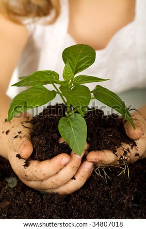 Kid hands holding a new plant in soil - closeup, shallow depth of field