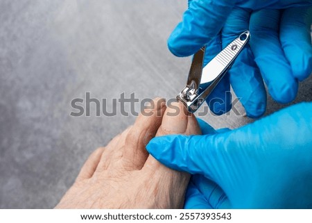 Similar – Image, Stock Photo Elderly woman is cutting branches, pruning fruit trees with shears