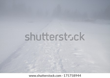 Yellowstone National Park in Winter, Wyoming USA - footprints on a snowy trail