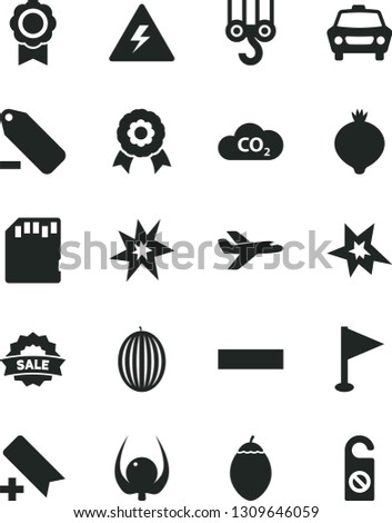 Solid Black Vector Icon Set - danger of electricity vector, add bookmark, minus, remove label, pennant, winch hook, car, medlar, melon, tamarillo, physalis, CO2, sale, sd card, medal, bang
