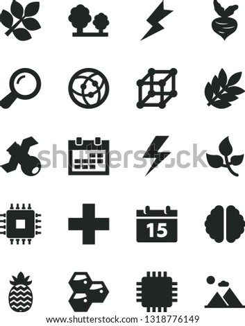 Solid Black Vector Icon Set - lightning vector, calendar, plus, honeycombs, pineapple, beet, leaves, trees, cpu, network, zoom, brain, satellite, biology, 3d cube, mountains