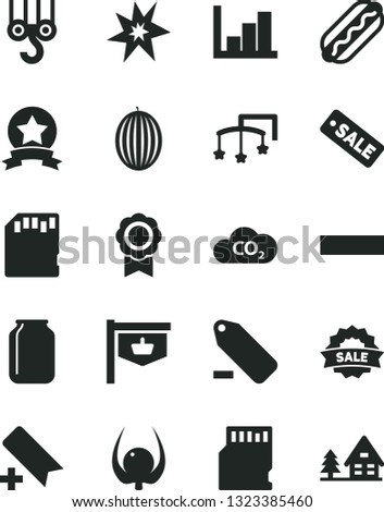 Solid Black Vector Icon Set - add bookmark vector, minus, remove label, negative histogram, toys over the cot, winch hook, Hot Dog, melon, physalis, CO2, jar, vintage sign, season sale, sd card