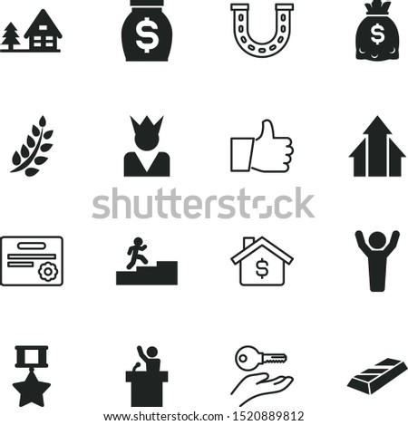 success vector icon set such as: stamp, silver, ridge, community, emblem, corporate, male, euro, emperor, luxury, construction, tag, diploma, price, thumb, key, steel, company, horseshoe, presenter