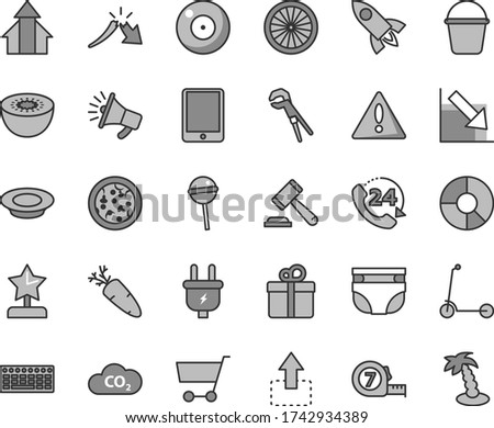 Thin line gray tint vector icon set - camera vector, warning, hammer of a judge, negative chart, nappy, child Kick scooter, adjustable wrench, long meashuring tape, bucket, gift, 24, move up, pizza