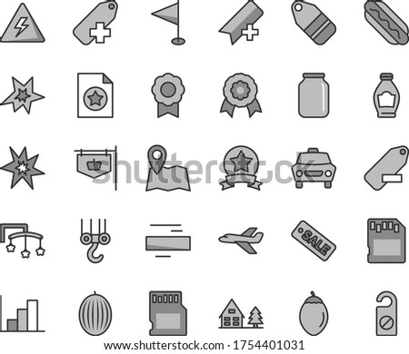 Thin line gray tint vector icon set - danger of electricity vector, add bookmark, minus, label, remove, pennant, negative histogram, toys over the cot, winch hook, car, Hot Dog, bottle, melon, jar