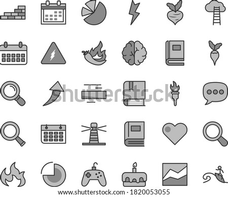 Thin line gray tint vector icon set - calendar vector, minus, pie chart, line, e, brick wall, lightning, heart, torte, hot pepper, beet, radish, lighthouse, charts, speech, magnifier, joystick, zoom