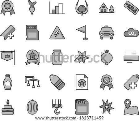 Thin line gray tint vector icon set - danger of electricity vector, add bookmark, minus, label, pennant, negative histogram, toys over the cot, winch hook, car, birthday cake, bottle, medlar, melon