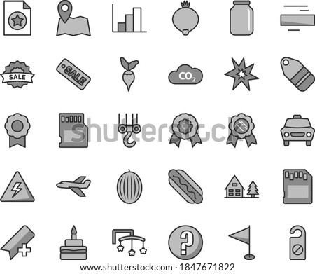 Thin line gray tint vector icon set - danger of electricity vector, add bookmark, minus, pennant, negative histogram, question, toys over the cot, winch hook, car, label, Hot Dog, birthday cake, CO2