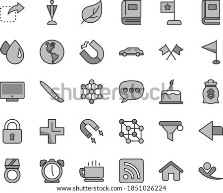 Thin line gray tint vector icon set - tassel vector, left direction, plus, rss feed, pennant, house, lock, alarm clock, screen, coffee, cake, move right, leaf, planet Earth, drop, magnet, horseshoe