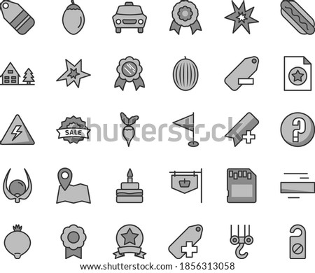 Thin line gray tint vector icon set - danger of electricity vector, add bookmark, minus, label, remove, pennant, question, winch hook, car, Hot Dog, birthday cake, medlar, melon, tamarillo, physalis
