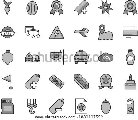 Thin line gray tint vector icon set - danger of electricity vector, add bookmark, minus, label, remove, pennant, toys over the cot, winch hook, car, Hot Dog, birthday cake, bottle, medlar, melon